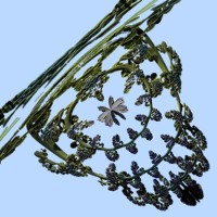 Julia-Bulb-Ausschnitt