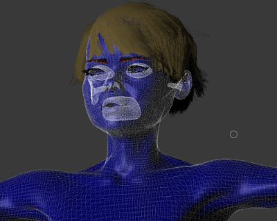 Hair-Mesh